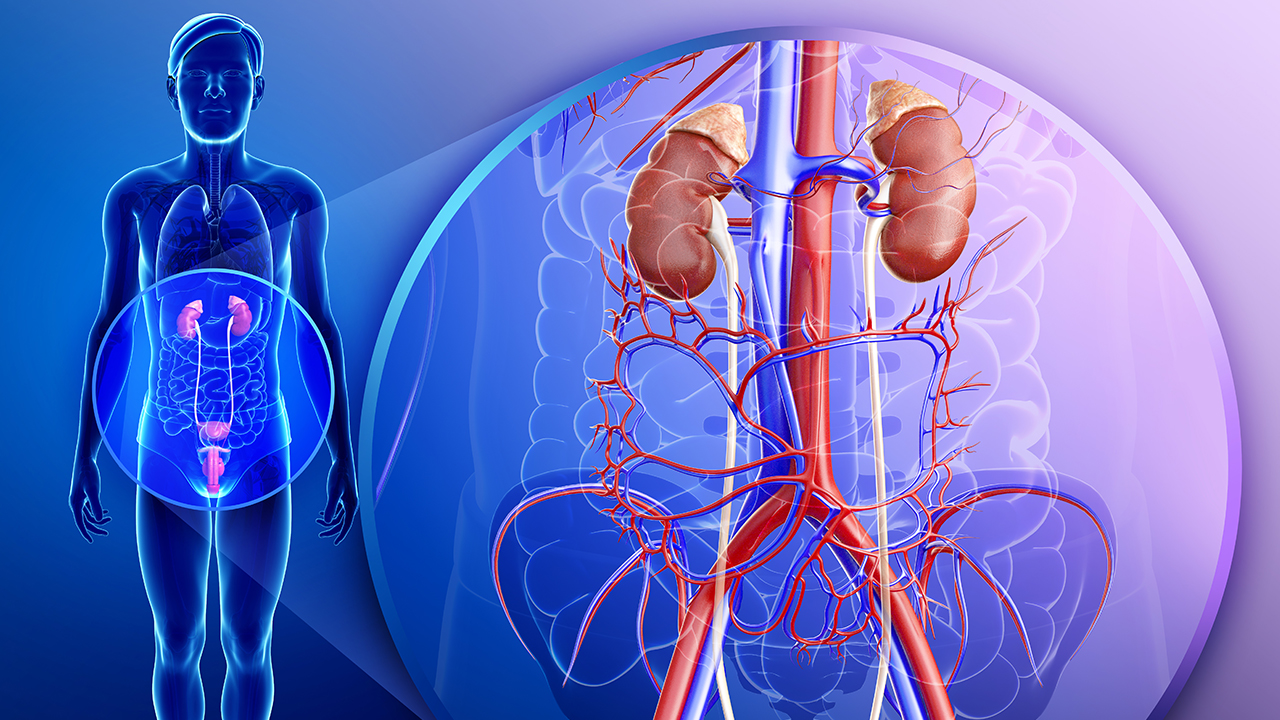 判斷腎臟是否健康的7個問題