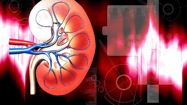 得了腎病怎麼注意什麼