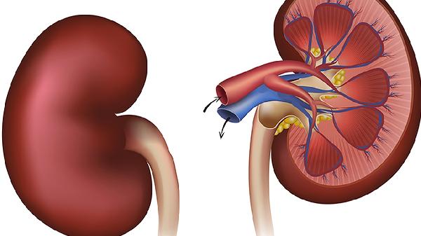 低鉀性腎病輸液速度慢